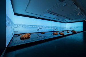 Exhibition view: James Darling & Lesley Forwood, 'Living Rocks: A Fragment of the Universe', Magazzino del Sale n. 5 (8 May–24 November 2019). Multi-channel digital video (20 minute loop), 1.5 tonnes mallee root & 4,000 litres of water. 16.12 x 4.64 m. Collateral Event of the 58th International Art Exhibition – la Biennale di Venezia 'May You Live in Interesting Times' (11 May–24 November 2019). Courtesy the artists and Hugo Michell Gallery, Adelaide. Photo: Sam Roberts. 